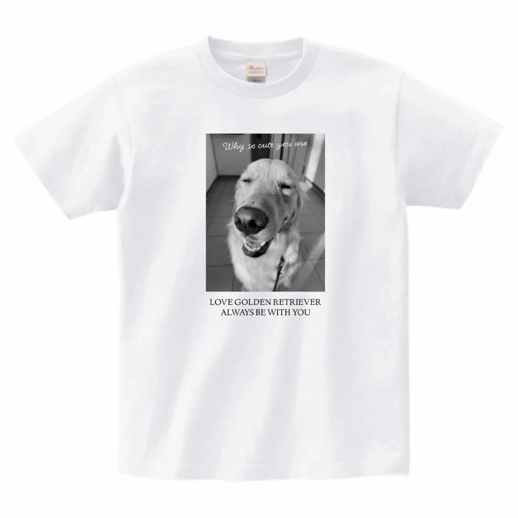 ゴールデン柄Tシャツ1
