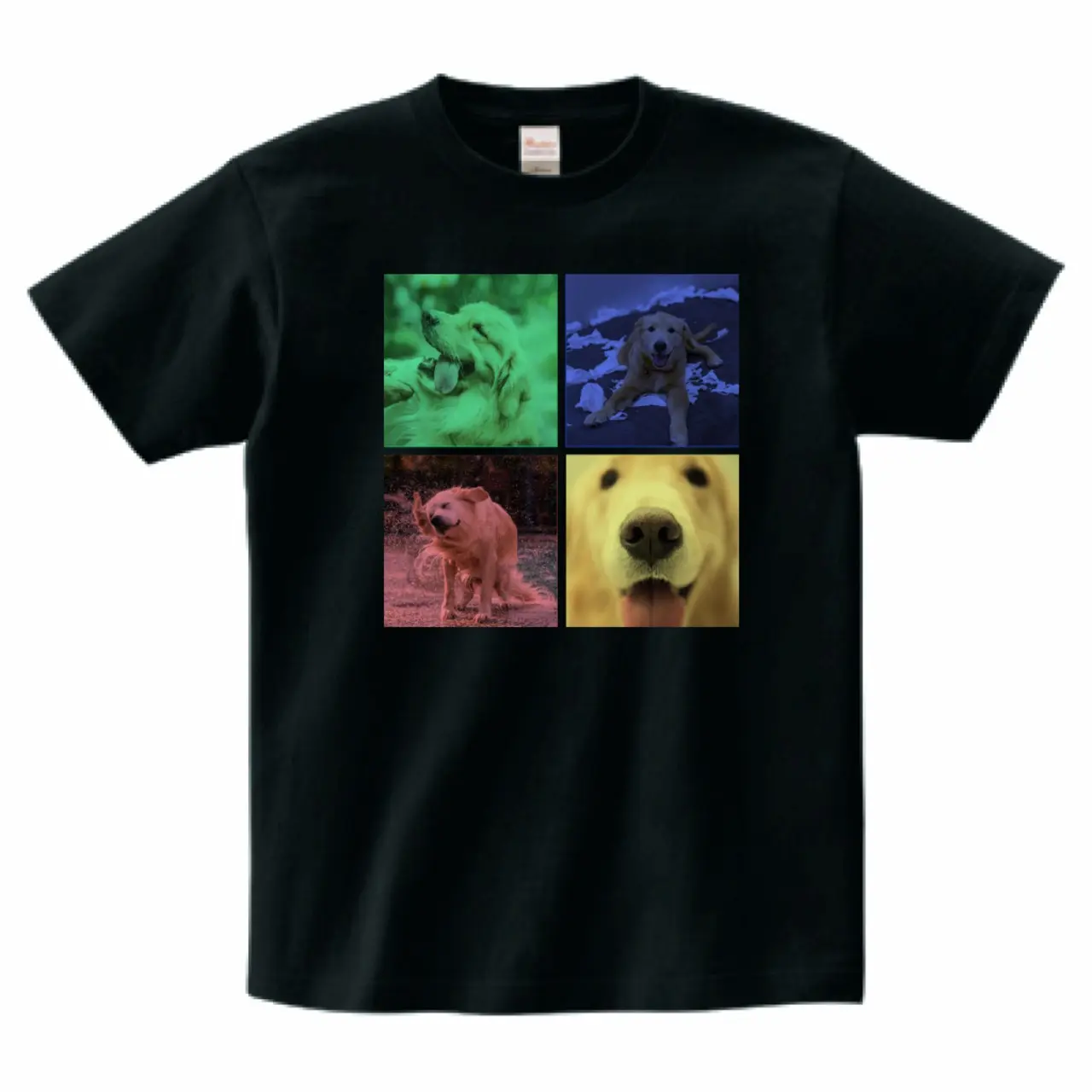 ゴールデンレトリバーTシャツ｜カラフル ブラック 正面