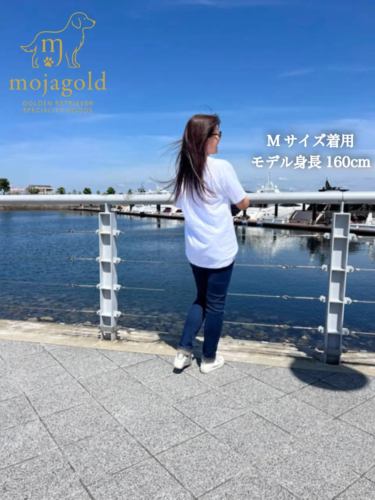 ゴールデンレトリバーTシャツ｜ゴン太シリーズ｜スマイル 詳細 6